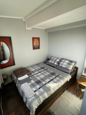 Temple of Saint Sava apartment with a view